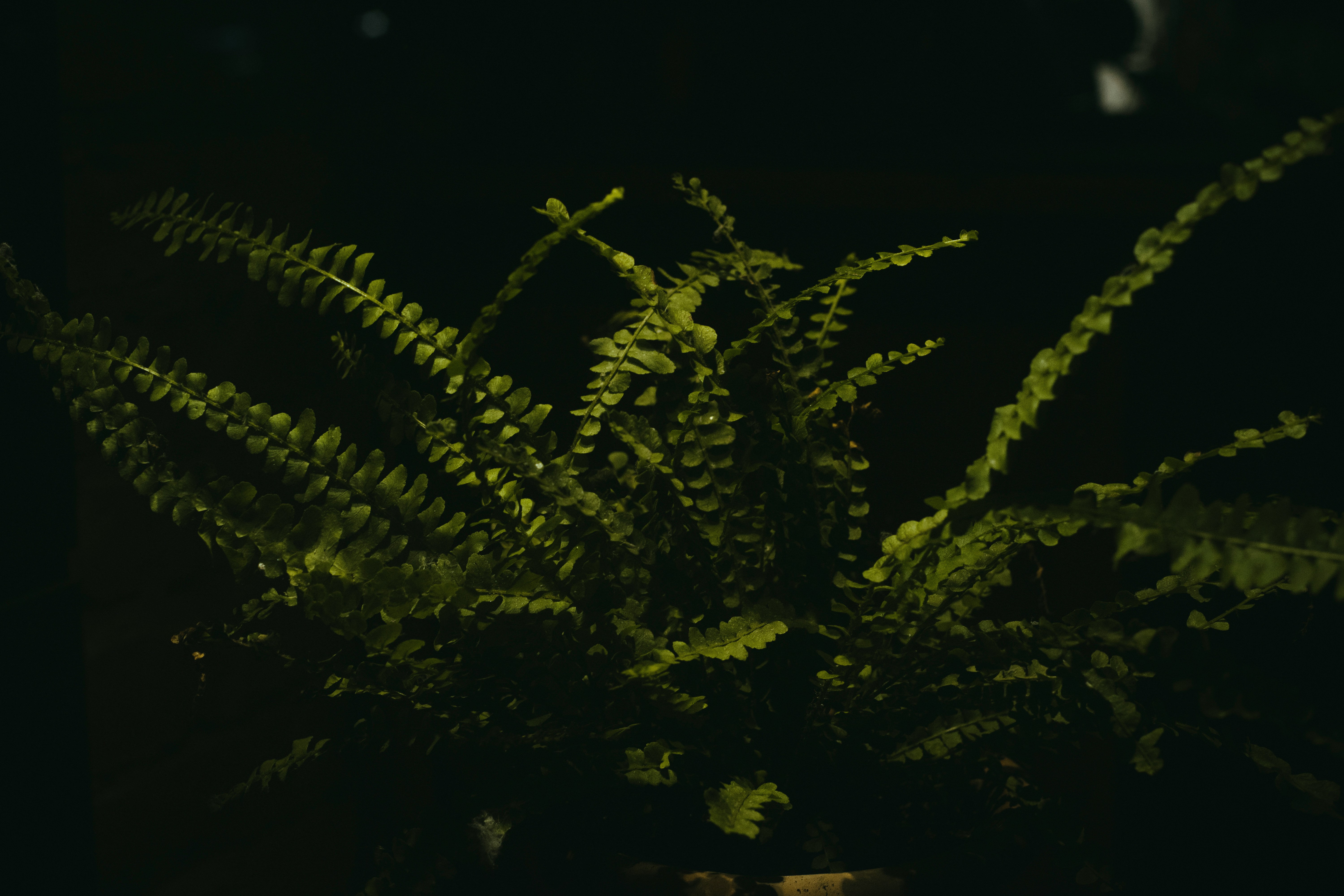 Pharmaceutical laboratory